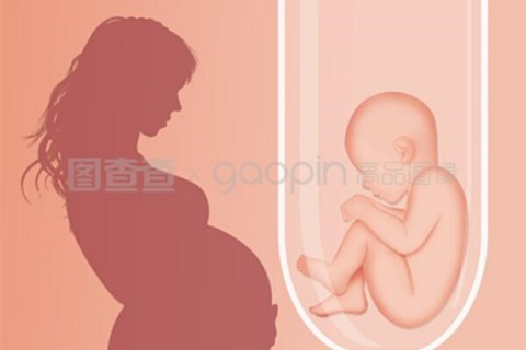 http://weifang.hy-ly.com/post/208.html|潍坊人工试管