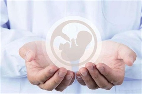 http://weifang.hy-ly.com/post/203.html|潍坊试管助孕