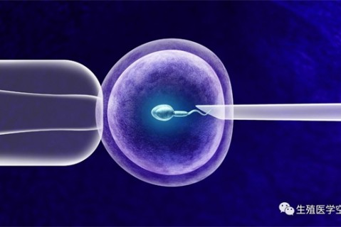 女人潍坊代生孩子的最佳年龄段 一辈子生几个孩子最好